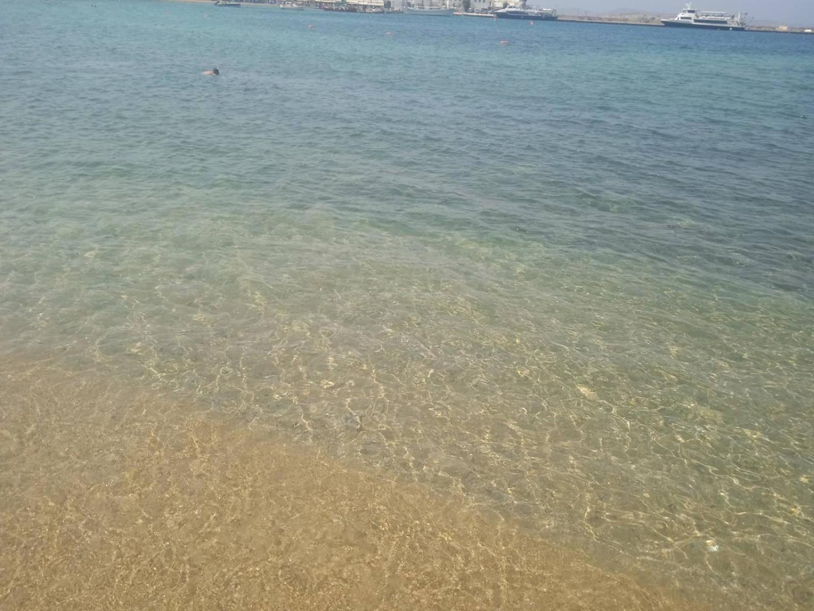 Anemones Sea View Lejlighed Mykonos Town Eksteriør billede
